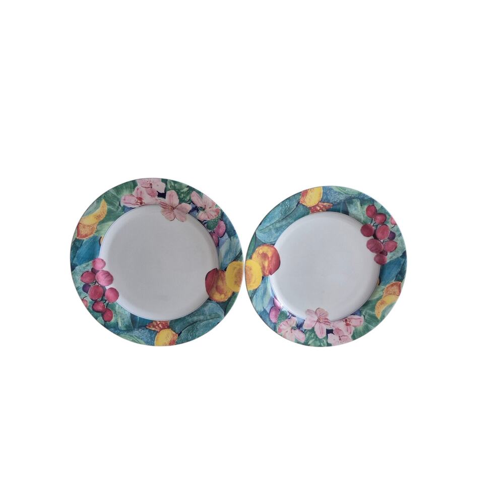 Vintage Mikasa Maxima Exotic Gardens Dinner Plates 10 1/2 Spring Picnic Set of 2